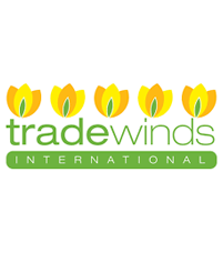 Trade Winds International