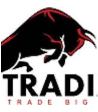 Traditrade International