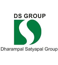 D.S. City Group