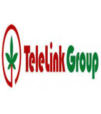 Telelink Group